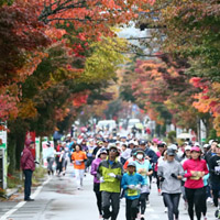 軽井沢リゾートマラソン